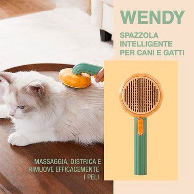 Wendy - EXTRA SCONTO